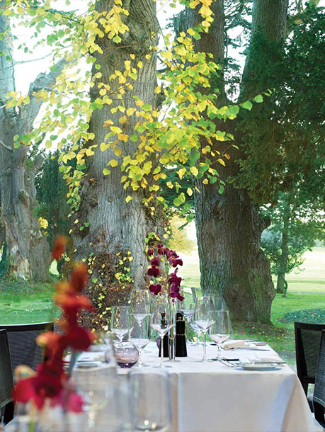 The-Linden-Tree
